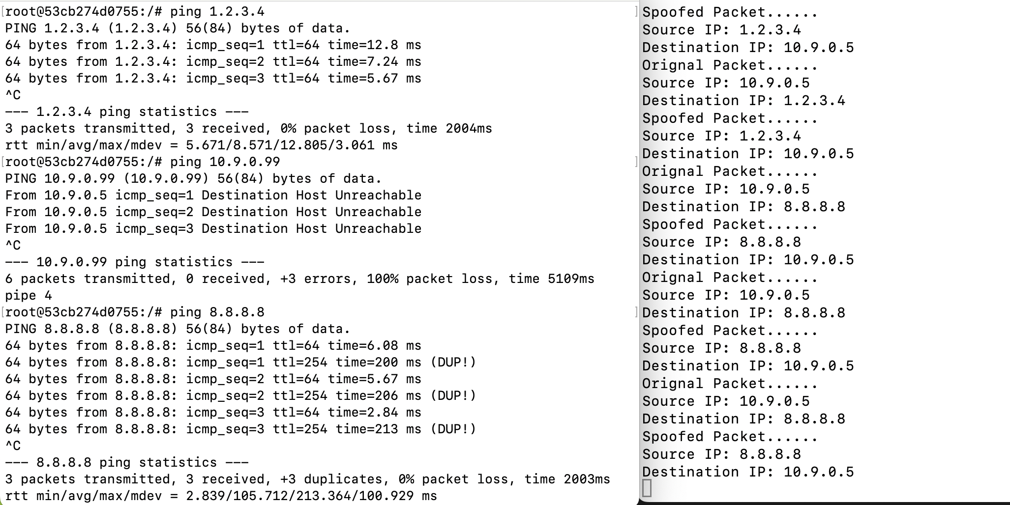 image-20251113170017862