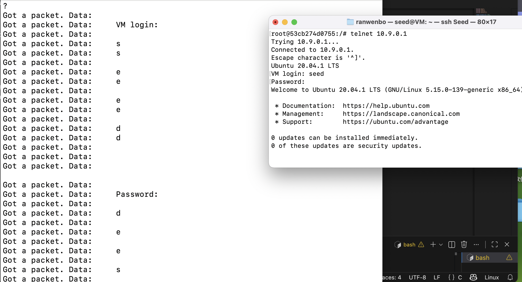 image-20251117231322289