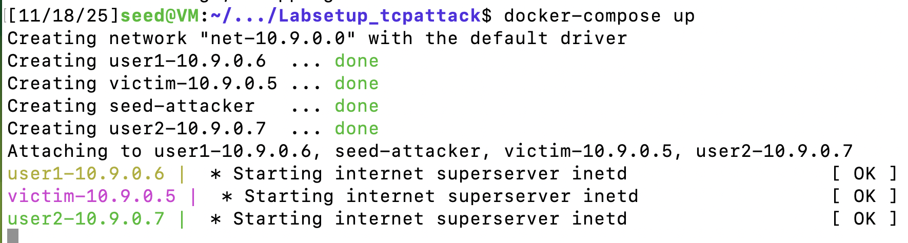 image-20251119095804869