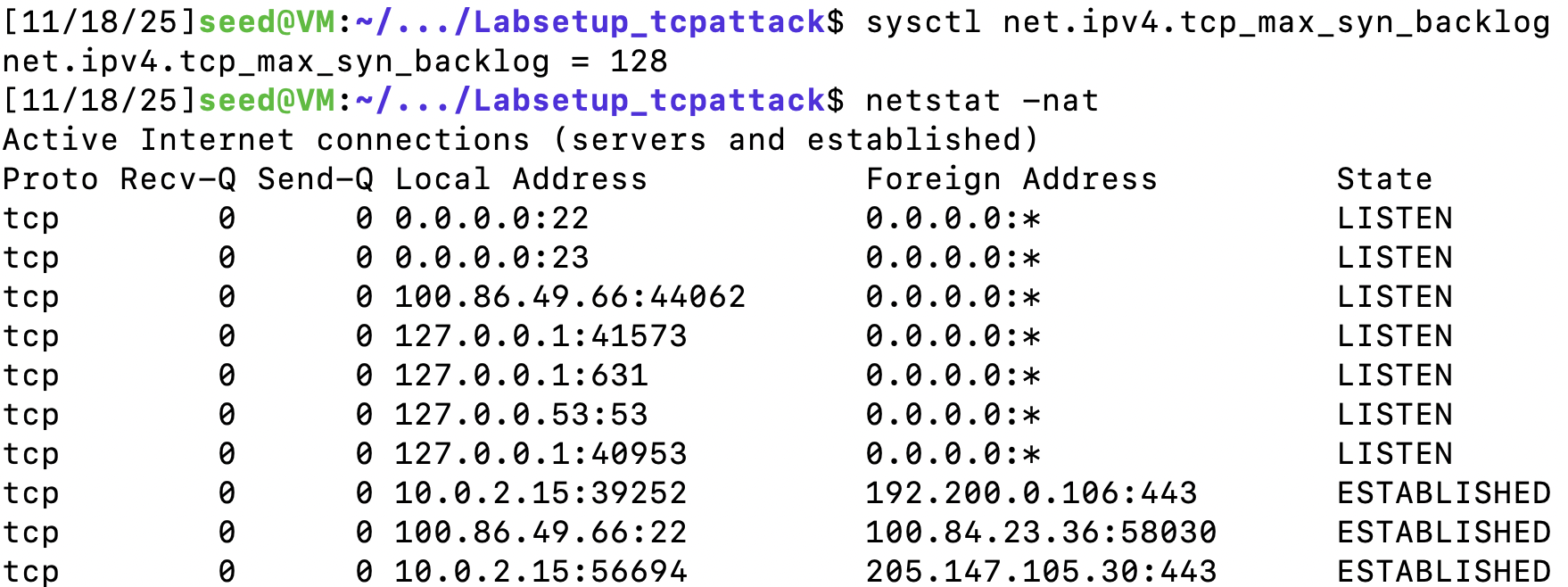 image-20251119101053113