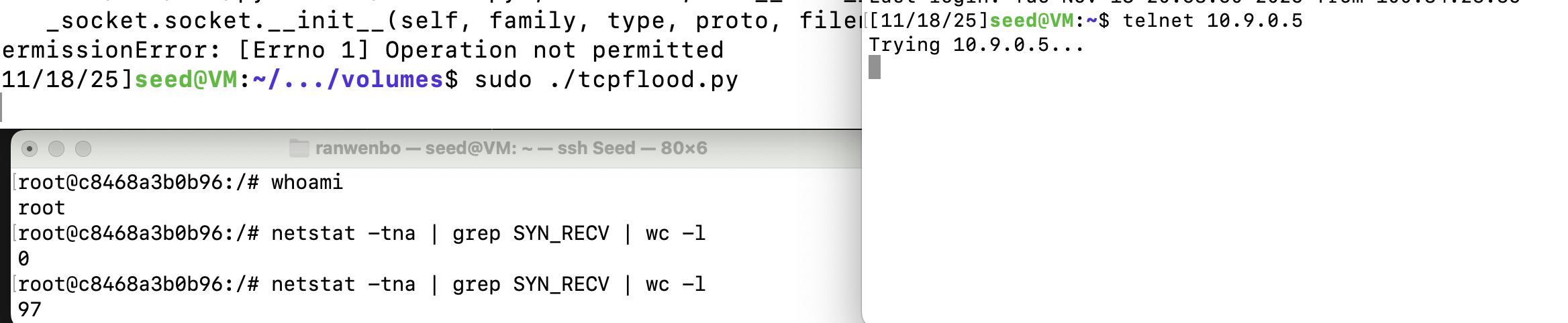 image-20251119102802958