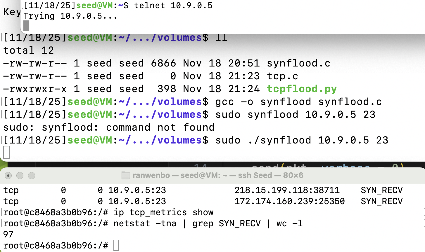 image-20251119105848660