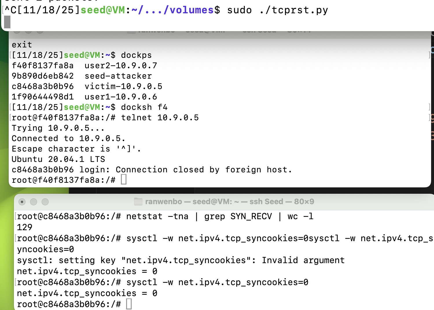 image-20251119115549744