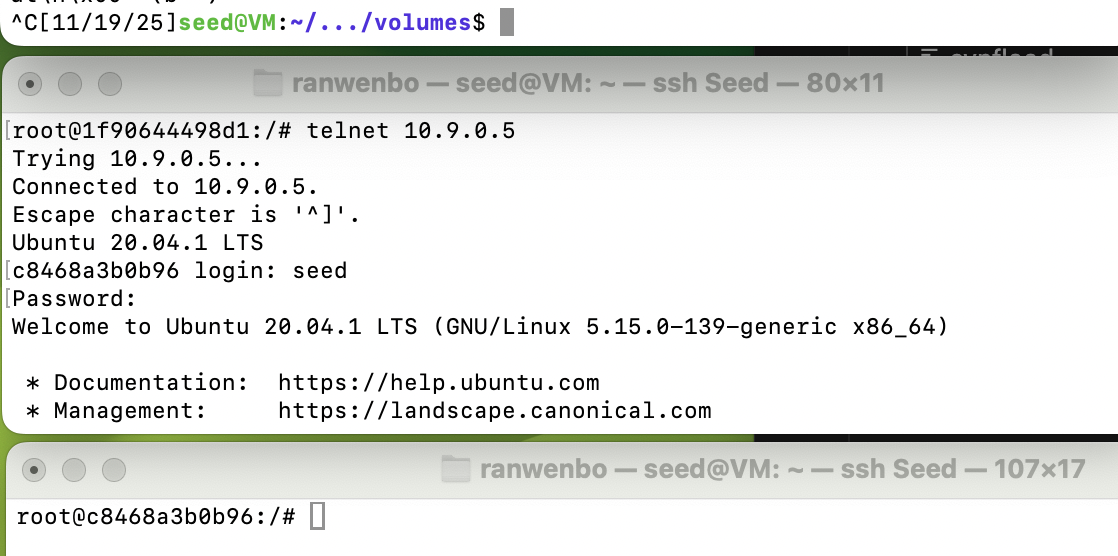 image-20251119171005354