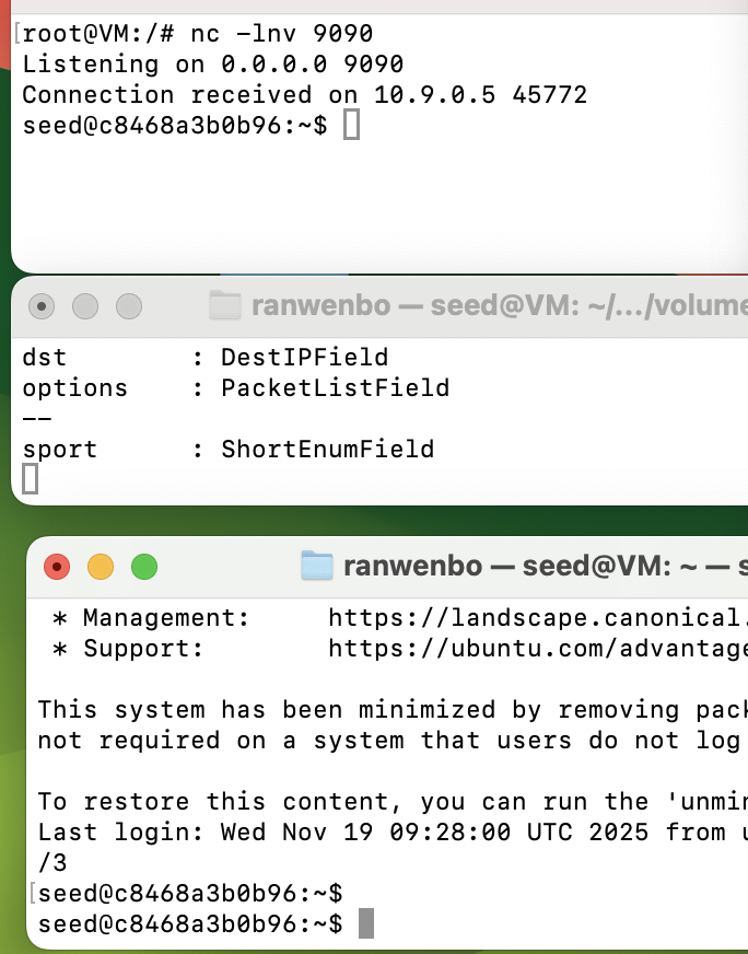image-20251119173034349